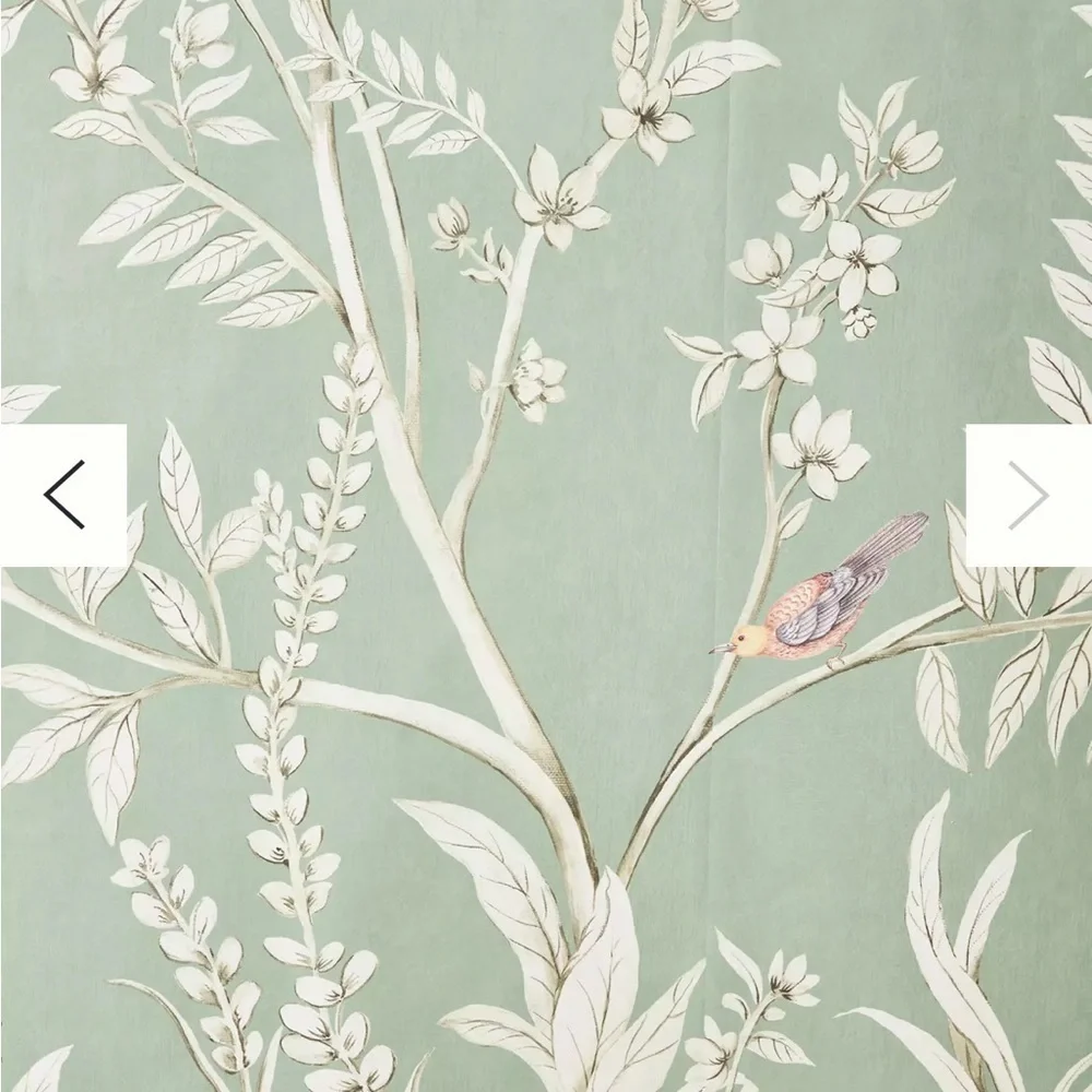 Anthropologie Vining Beauty Floral Green Wall Mural